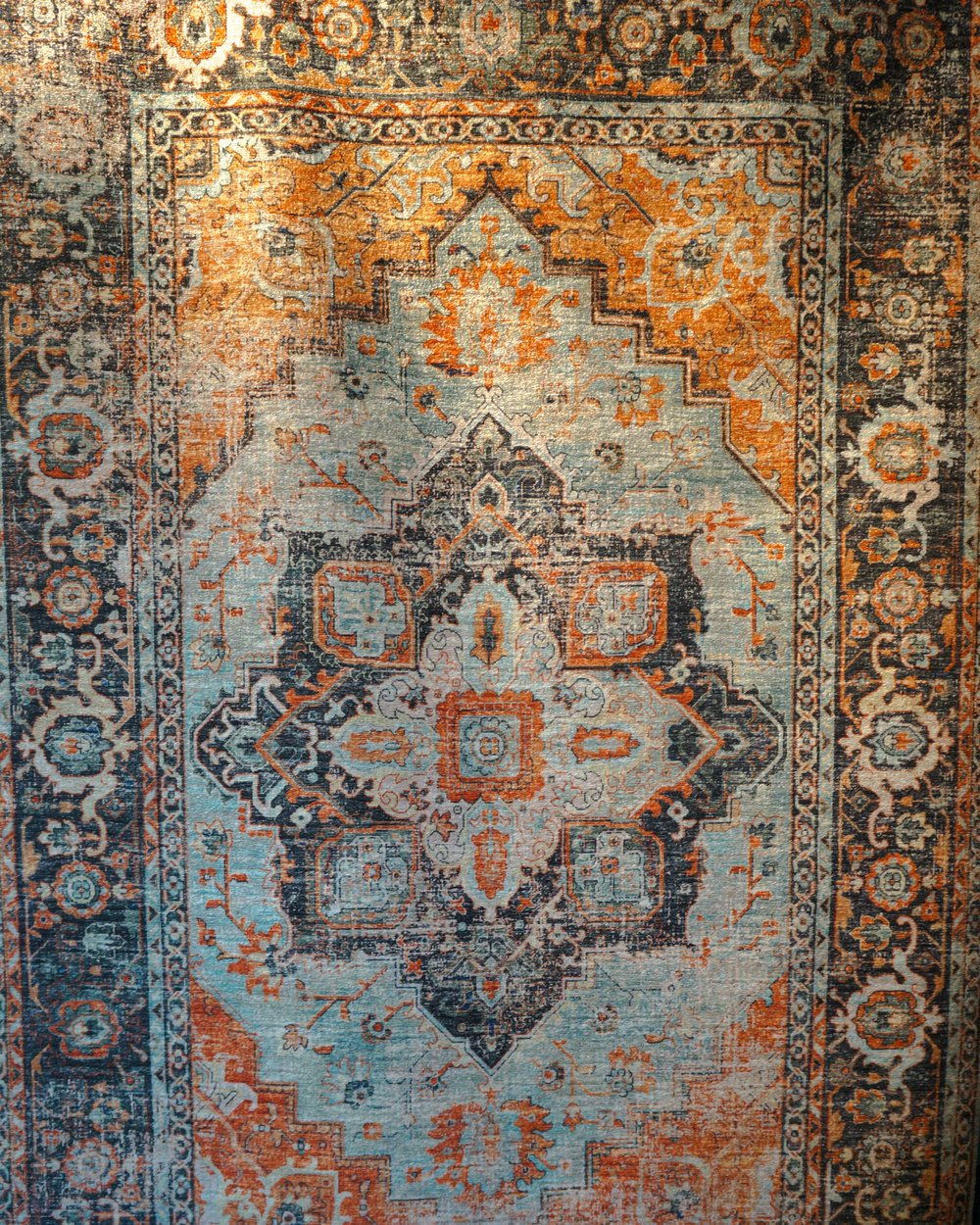 DSC00317