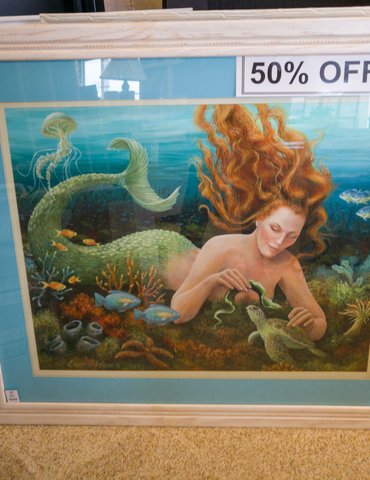 Kitty Hawk Carpets & Furniture Promotions Mermaid and Turtles Under the Sea